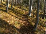 Mače - Planina Dolga njiva